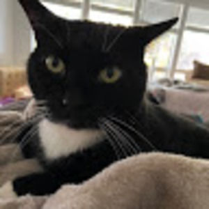 Meet your Posher, Gina